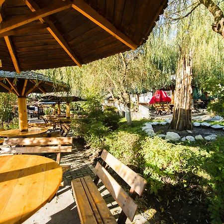 Gura Diham Hotel Busteni Ngoại thất bức ảnh